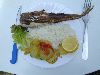 DSCN0553.JPG