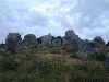 dscn8005.JPG