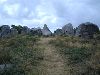 dscn8007.JPG
